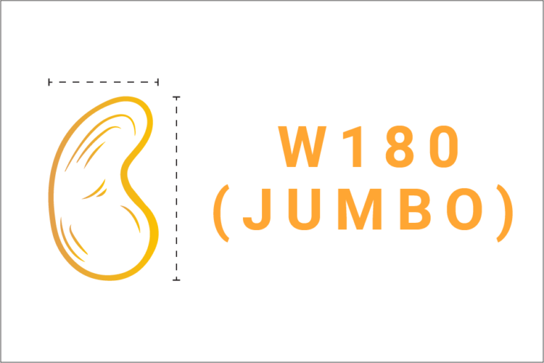 W180 Jumbo Size Kernels