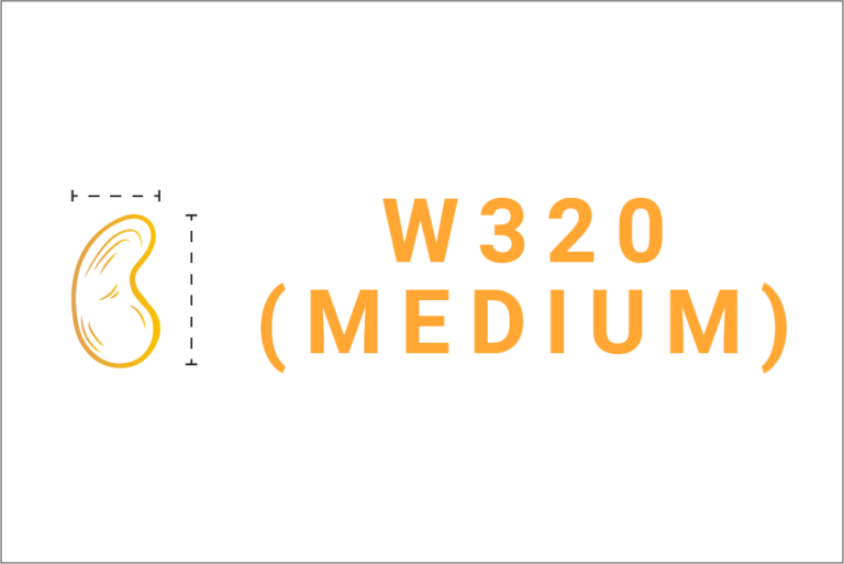 W320 Medium Size Kernels
