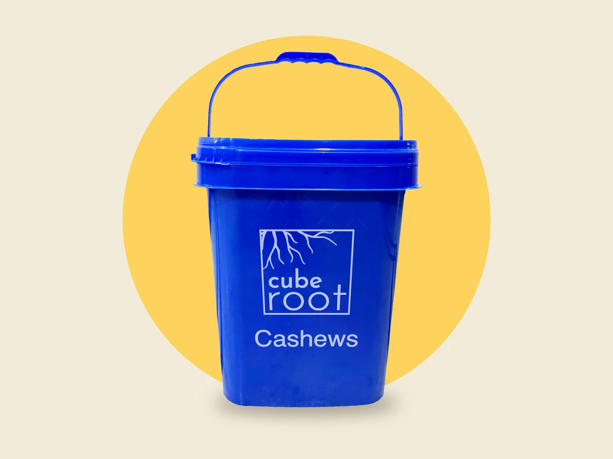 Cube Root 10kg bulk cashew bucket